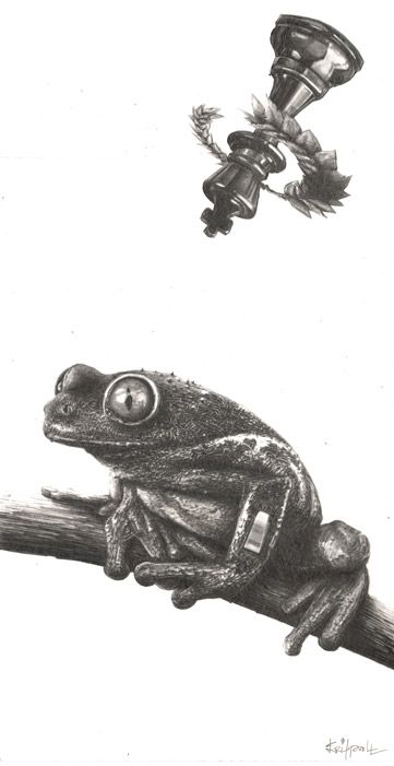 Frog