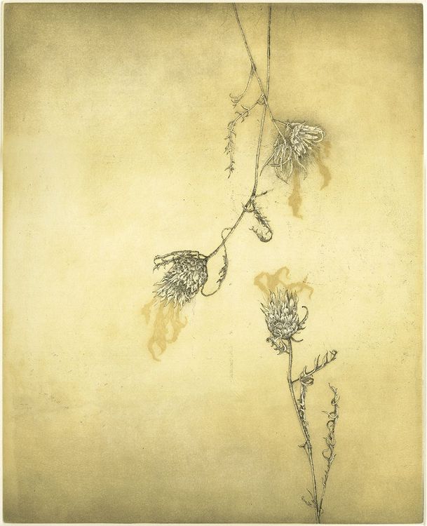 Objetos naturales II, 2005