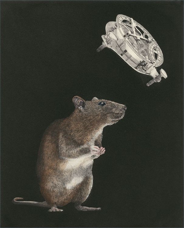 The guide (iluminada), 2016