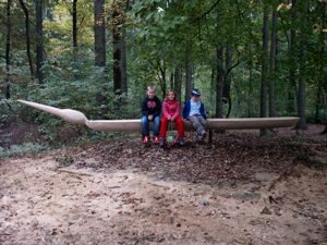 Pájaro zwickau. 2010