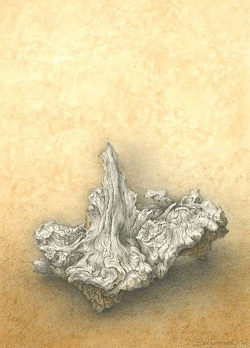 Natural Objects I, 2011