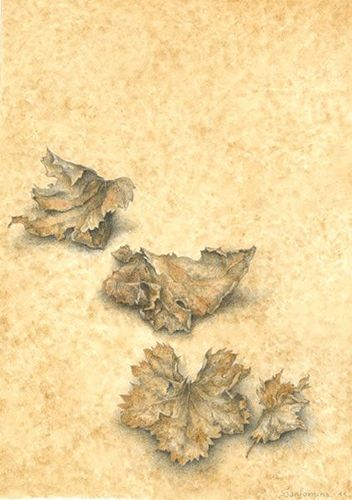 Natural Objects II, 2011